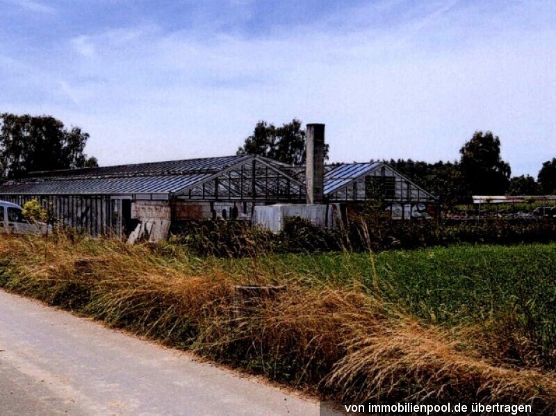 Foto 1 von 4 — zwei Gewächshäuser mit landwirtschaftlicher Nutzfläche