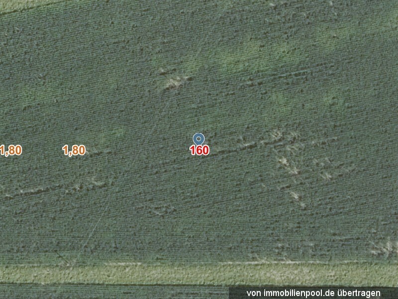 Foto 1 von 1 — Landwirtschaftsfläche