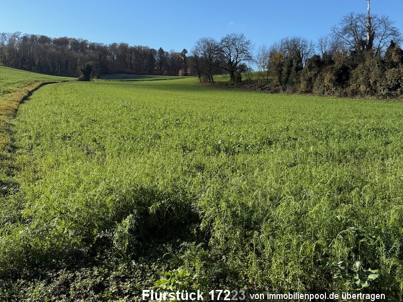Foto 4 von 4 — vier Landwirtschaftsflächen