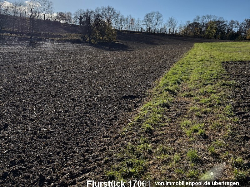 Foto 3 von 4 — vier Landwirtschaftsflächen