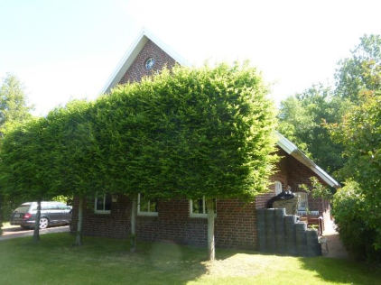 Foto 4 von 17 — Einfamilienhaus, Wohneigentum