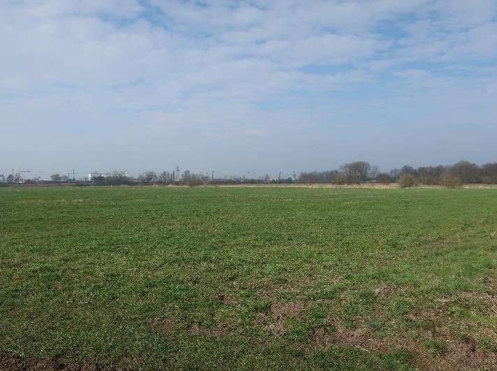 Foto 8 von 13 — land- und forstwirtschaftlich genutztes Grundstück, überwiegend landwirtschaftliche Nutzflächen, welche als Grünland genutzt werden