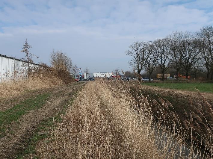 Foto 7 von 13 — land- und forstwirtschaftlich genutztes Grundstück, überwiegend landwirtschaftliche Nutzflächen, welche als Grünland genutzt werden