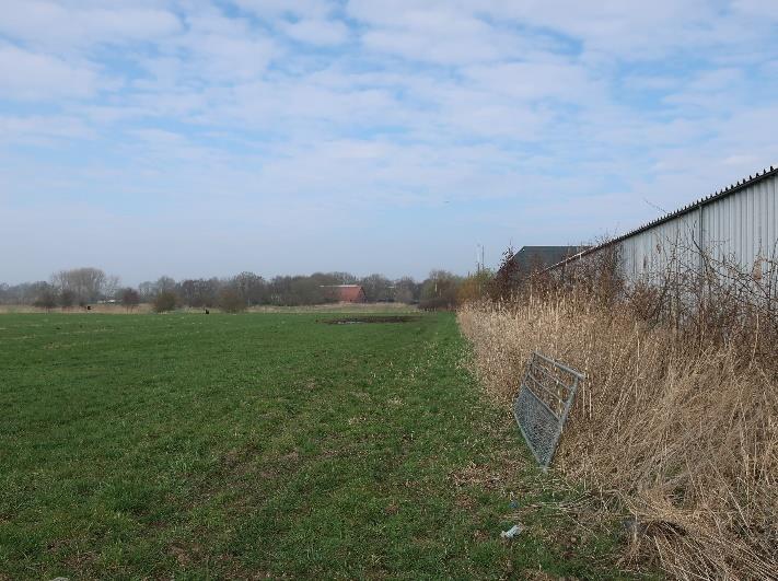 Foto 6 von 13 — land- und forstwirtschaftlich genutztes Grundstück, überwiegend landwirtschaftliche Nutzflächen, welche als Grünland genutzt werden