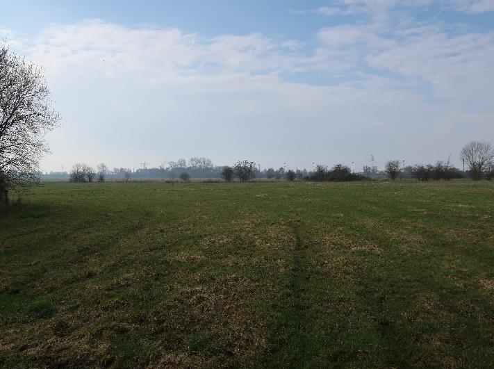 Foto 4 von 13 — land- und forstwirtschaftlich genutztes Grundstück, überwiegend landwirtschaftliche Nutzflächen, welche als Grünland genutzt werden