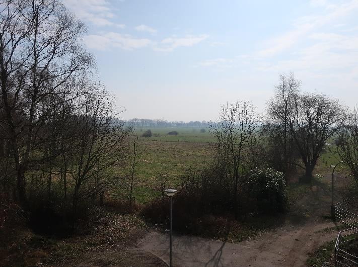 Foto 3 von 13 — land- und forstwirtschaftlich genutztes Grundstück, überwiegend landwirtschaftliche Nutzflächen, welche als Grünland genutzt werden