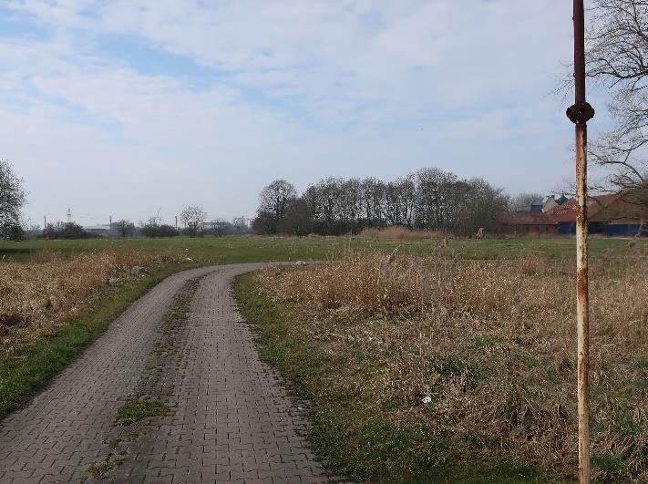Foto 5 von 13 — land- und forstwirtschaftlich genutztes Grundstück, überwiegend landwirtschaftliche Nutzflächen, welche als Grünland genutzt werden