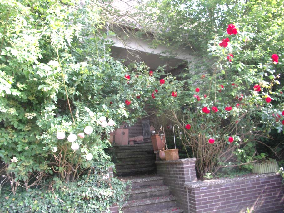 Foto 1 von 3 — Einfamilienhaus