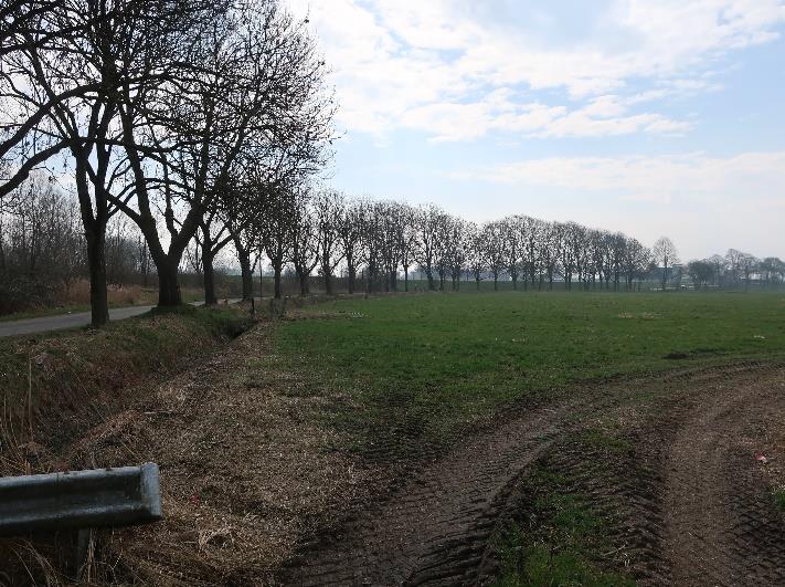 Foto 2 von 8 — land- und forstwirtschaftlich genutztes Grundstück, Landwirtschaftsfläche und Waldfläche