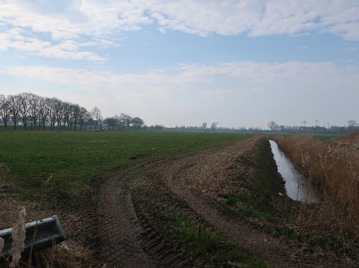 Foto 3 von 8 — land- und forstwirtschaftlich genutztes Grundstück, Landwirtschaftsfläche und Waldfläche