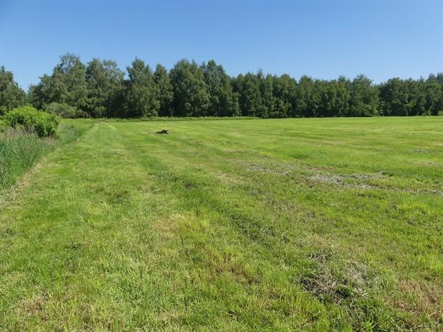 Foto 3 von 8 — land- und forstwirtschaftlich genutztes Grundstück