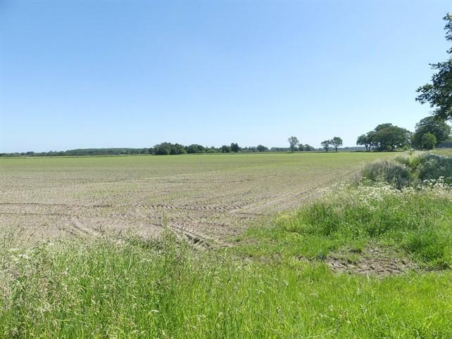 Foto 6 von 8 — land- und forstwirtschaftlich genutztes Grundstück