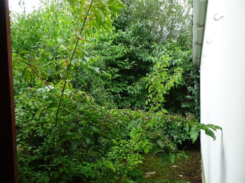 Foto 21 von 35 — Einfamilienhaus