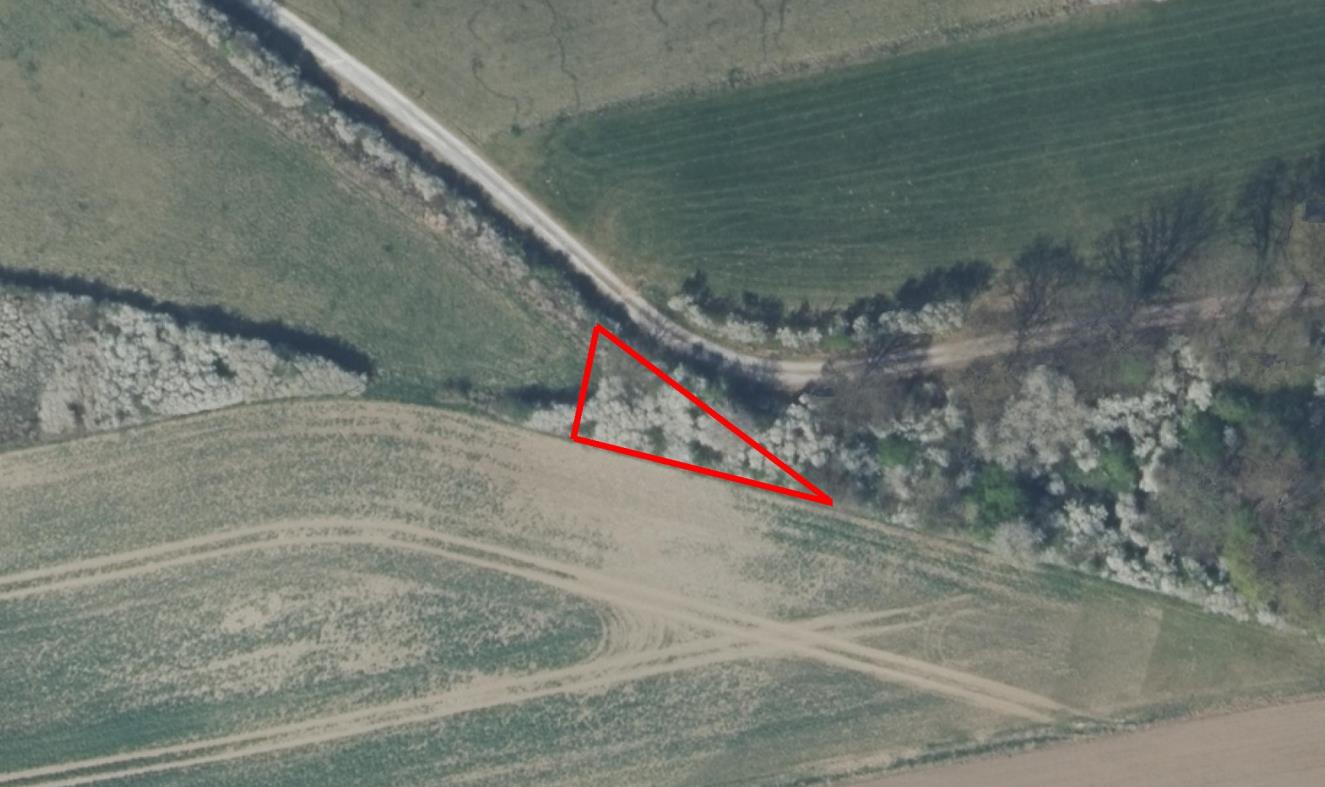 Foto 2 von 4 — land- und forstwirtschaftlich genutztes Grundstück