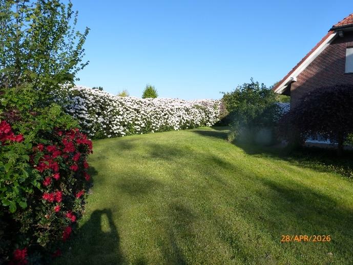 Foto 25 von 29 — Einfamilienhaus