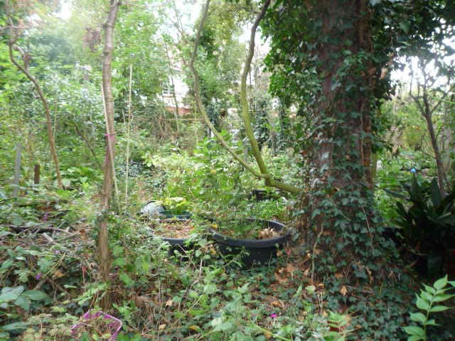 Foto 29 von 58 — Einfamilienhaus