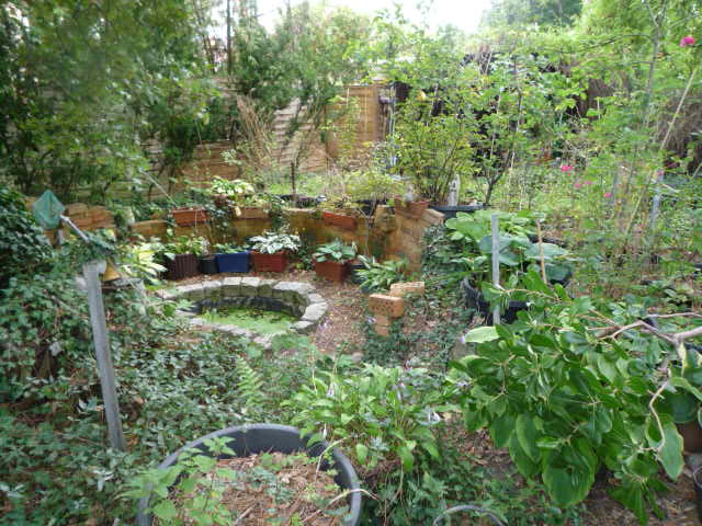 Foto 58 von 58 — Einfamilienhaus
