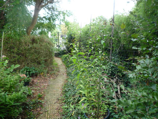 Foto 49 von 58 — Einfamilienhaus