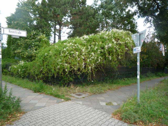 Foto 3 von 58 — Einfamilienhaus