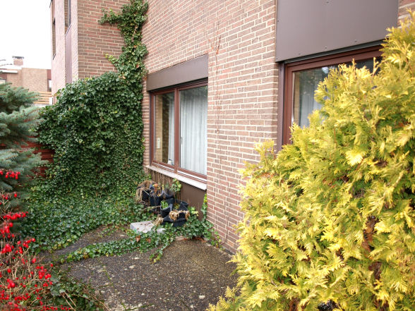 Foto 7 von 11 — Reihenhaus