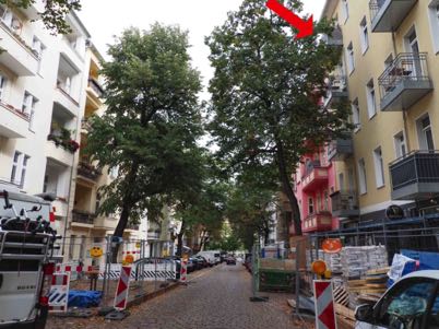 Foto 1 von 16 — Wohn-/Geschäftshaus, Dachraum