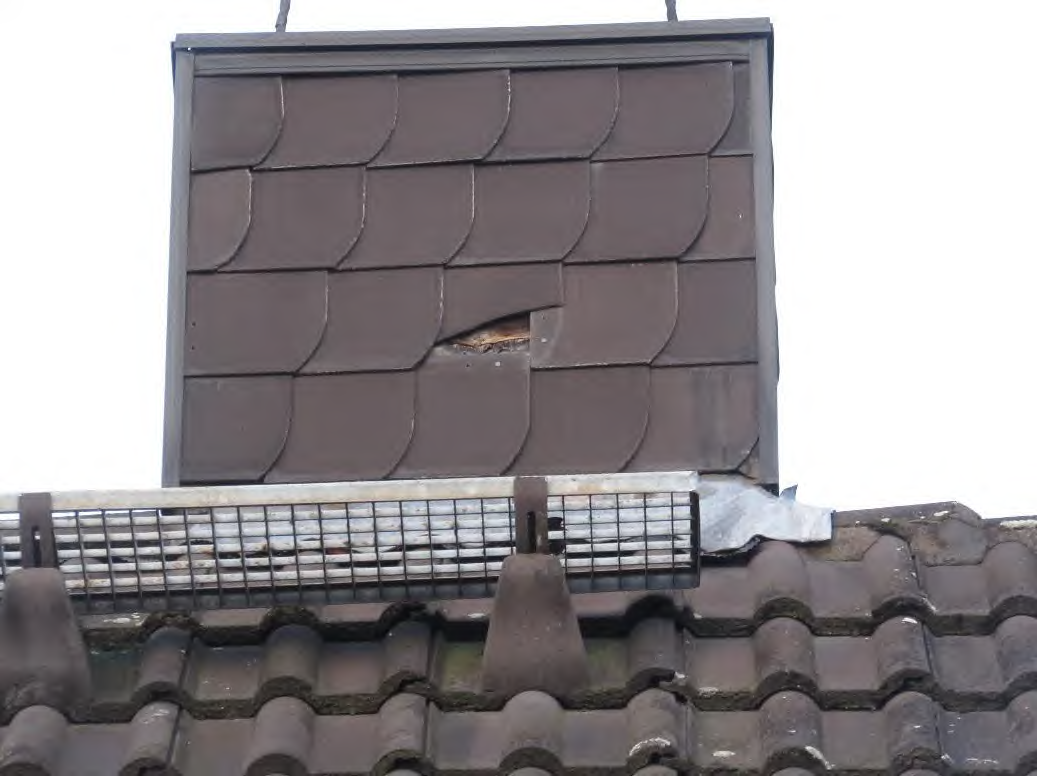 Foto 13 von 17 — Einfamilienhaus, Doppelhaushälfte