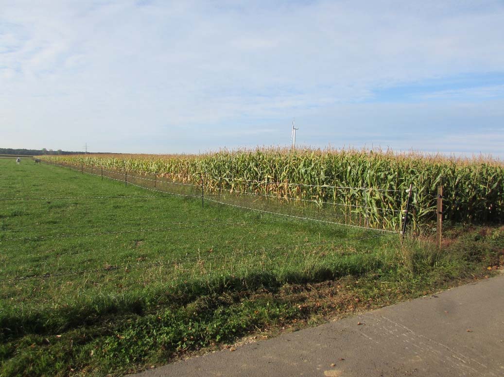 Foto 2 von 2 — land- und forstwirtschaftlich genutztes Grundstück, ein unbebautes landwirtschaftliches Ackergrundstück