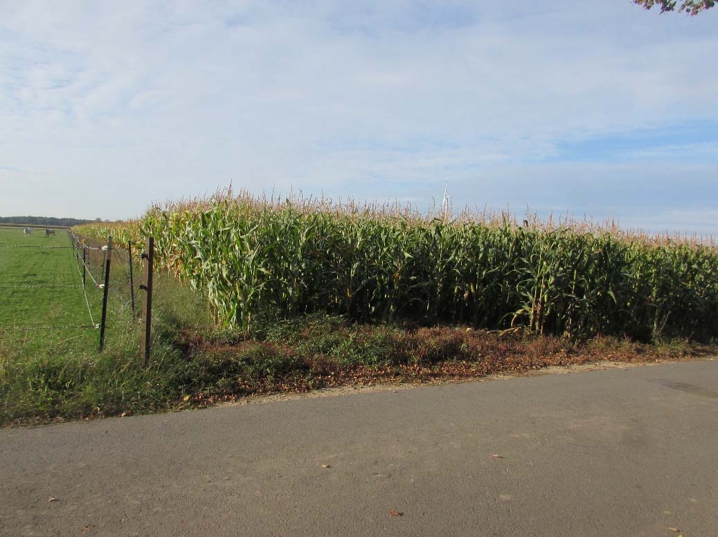 Foto 1 von 2 — land- und forstwirtschaftlich genutztes Grundstück, ein unbebautes landwirtschaftliches Ackergrundstück