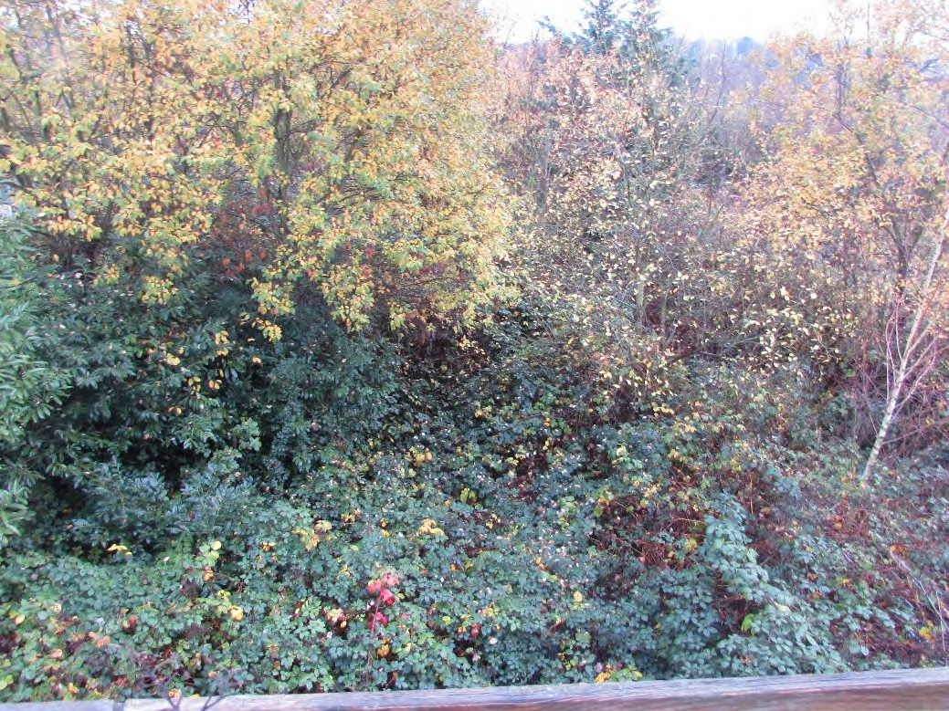 Foto 5 von 10 — Garage, Mehrfamilienhaus