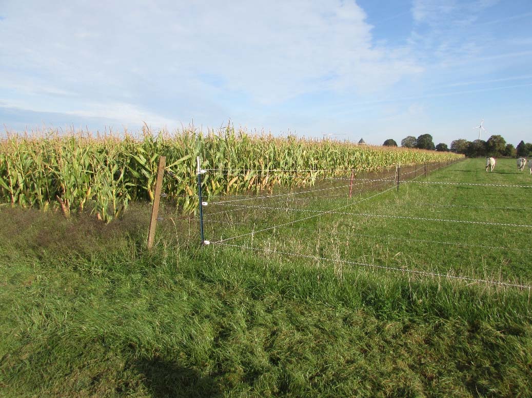 Foto 1 von 2 — land- und forstwirtschaftlich genutztes Grundstück, ein unbebautes, landwirtschaftliches Ackergrundstück