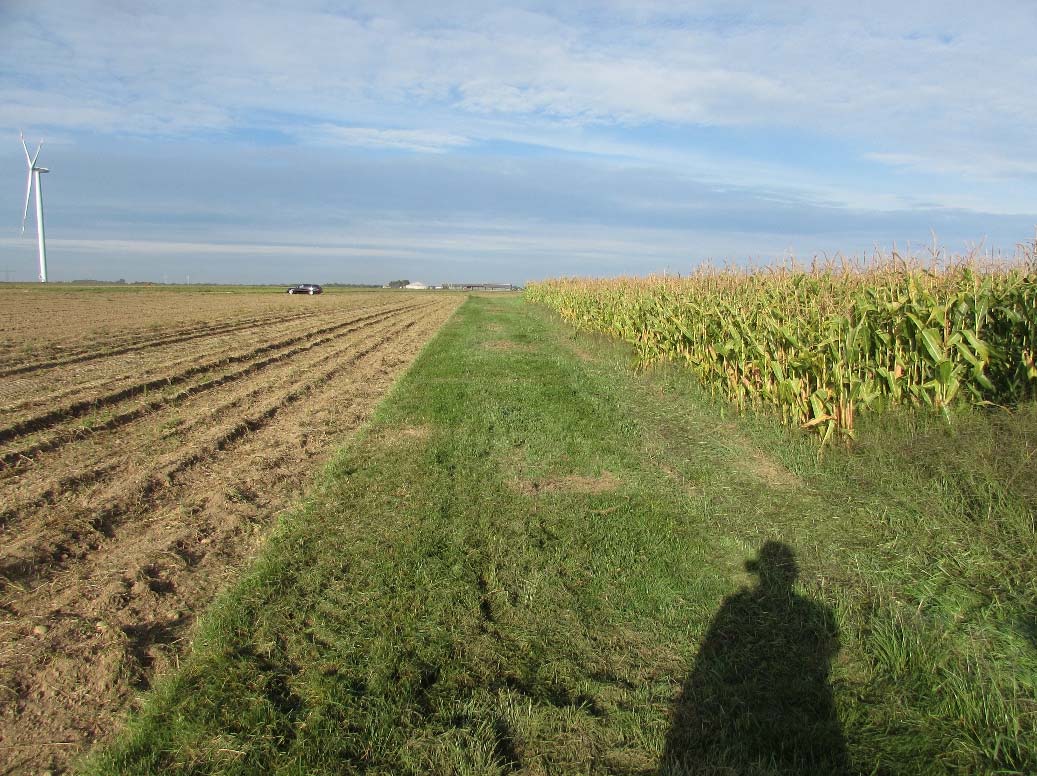 Foto 2 von 2 — land- und forstwirtschaftlich genutztes Grundstück, ein unbebautes, landwirtschaftliches Ackergrundstück