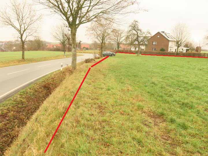 Foto 2 von 5 — land- und forstwirtschaftlich genutztes Grundstück, Grünlandfläche