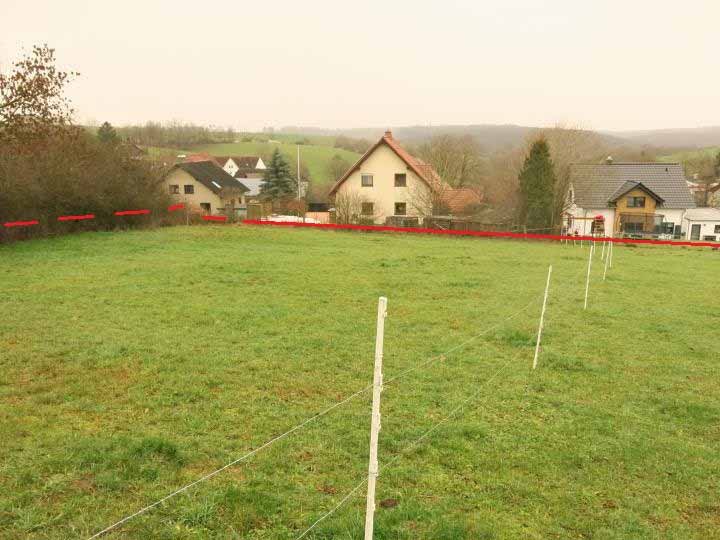 Foto 4 von 5 — land- und forstwirtschaftlich genutztes Grundstück, Grünlandfläche