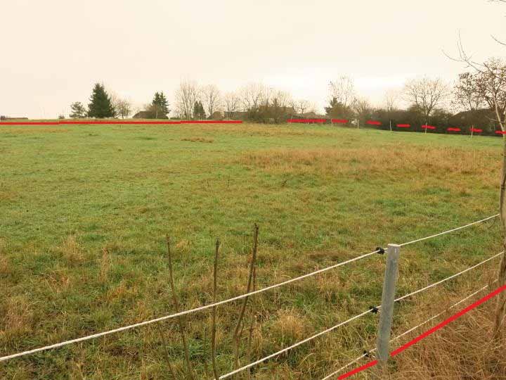 Foto 3 von 5 — land- und forstwirtschaftlich genutztes Grundstück, Grünlandfläche