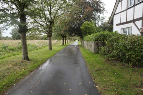 Foto 8 von 24 — unbebautes Grundstück, Zweifamilienhaus, Garage, Einfamilienhaus, unbebautes Grundstück, unbebautes Grundstück, Weg