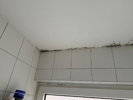 Foto 13 von 35 — Eigentumswohnung (3 bis 4 Zimmer)