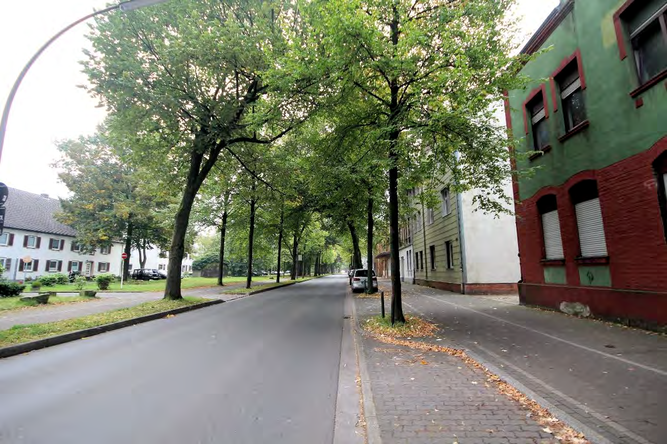 Foto 18 von 34 — Garage, Mehrfamilienhaus, Nebengebäude augenscheinlich baufällig