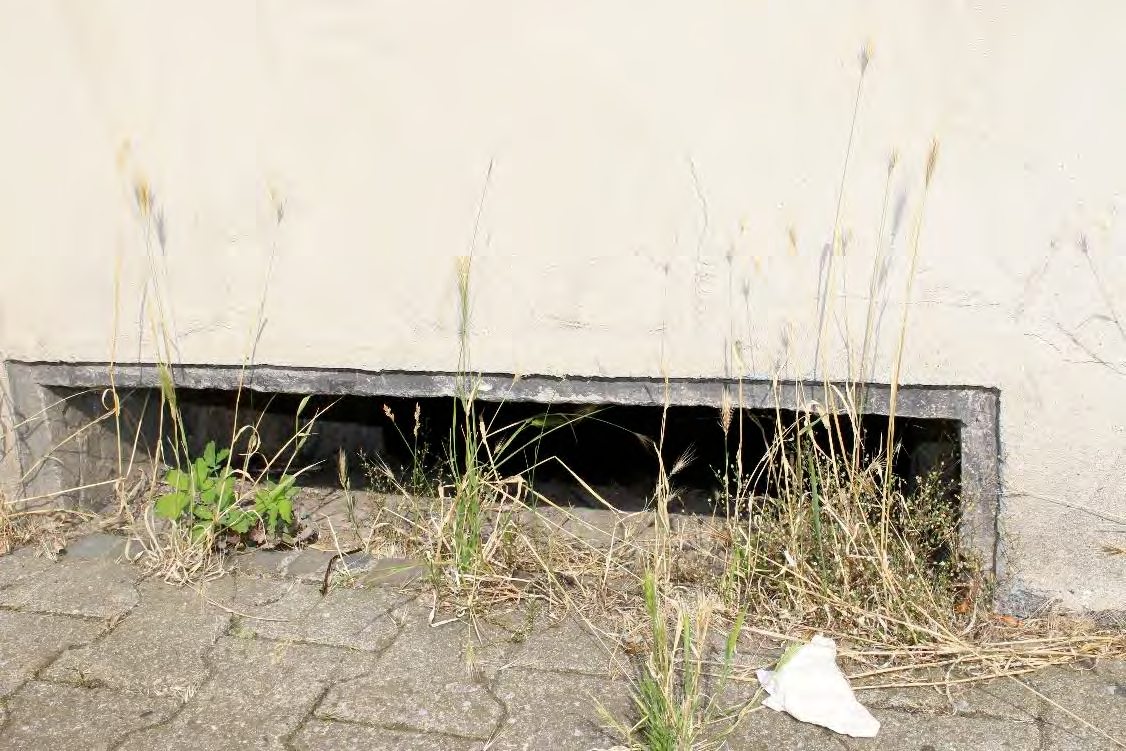 Foto 9 von 56 — Einfamilienhaus, Garagengebäude