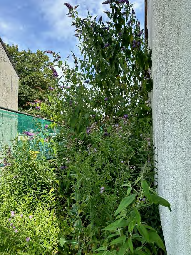 Foto 23 von 56 — Einfamilienhaus, Garagengebäude