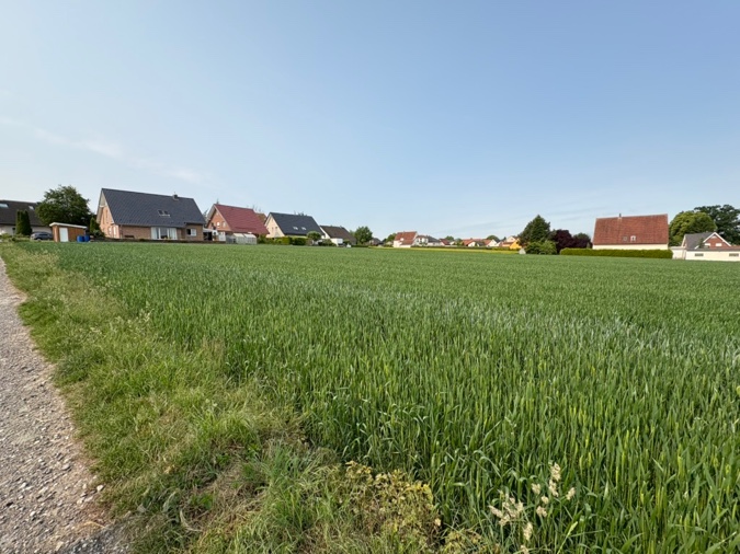 Foto 2 von 5 — land- und forstwirtschaftlich genutztes Grundstück