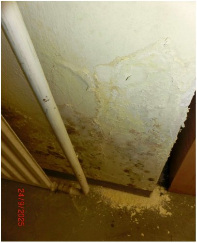 Foto 15 von 16 — Wohn-/Geschäftshaus