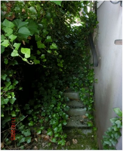 Foto 12 von 13 — Einfamilienhaus