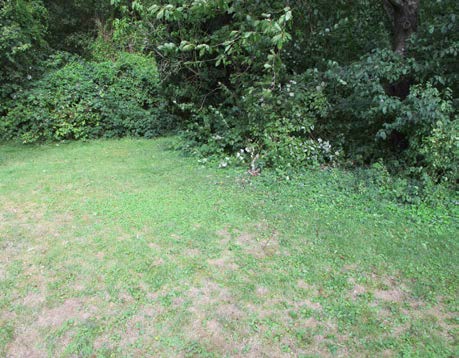 Foto 7 von 21 — Mehrfamilienhaus