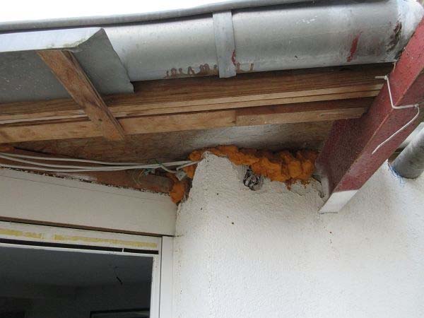 Foto 4 von 14 — Garage, Einfamilienhaus