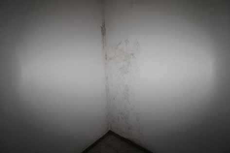 Foto 79 von 130 — gewerblich genutztes Grundstück