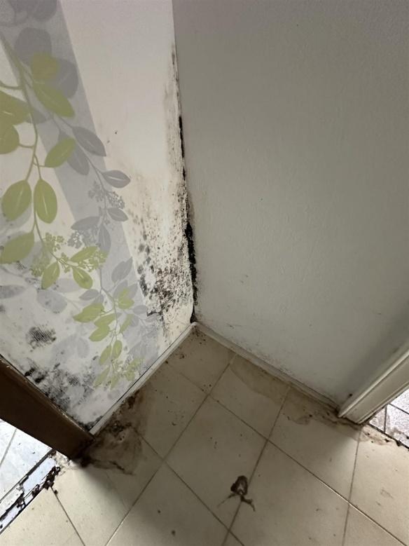 Foto 13 von 17 — Eigentumswohnung (3 bis 4 Zimmer)