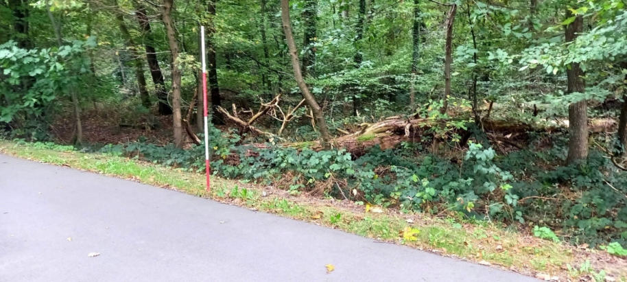 Foto 2 von 5 — land- und forstwirtschaftlich genutztes Grundstück
