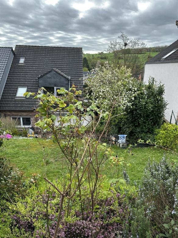 Foto 16 von 25 — Garage, Doppelhaushälfte, Die Garage ist im KG des Hauses integriert.