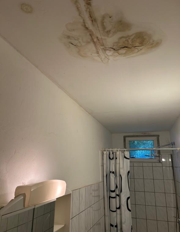 Foto 16 von 21 — Wohn-/Geschäftshaus
