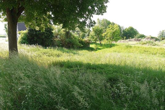 Foto 6 von 8 — unbebautes Grundstück
